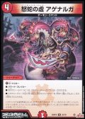 【R】怒蛇の虚 アゲナルガ