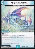 【R】ワダカニノミコト