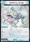 【C】ワダゲコノミコト