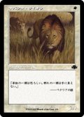 ☆特殊枠【日本語Foil】サバンナ・ライオン/Savannah Lions