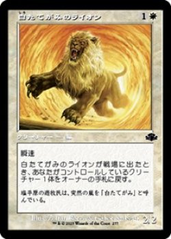 画像1: ☆特殊枠【日本語】白たてがみのライオン/Whitemane Lion