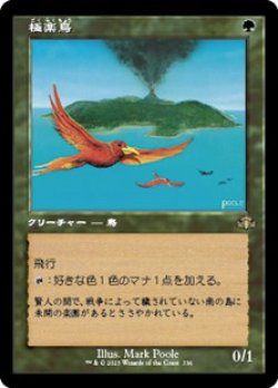 画像1: ☆特殊枠【日本語】極楽鳥/Birds of Paradise