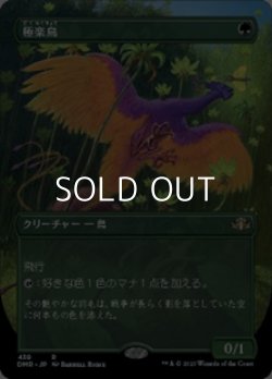画像1: ☆特殊枠【日本語】極楽鳥/Birds of Paradise