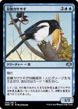 画像1: 【日本語】泥棒カササギ/Thieving Magpie