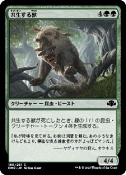 画像1: 【日本語Foil】共生する獣/Symbiotic Beast