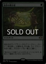 【日本語】俗世の教示者/Worldly Tutor