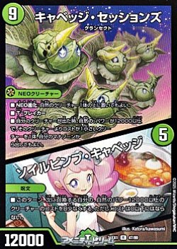 画像1: 【R】キャベッジ・セッションズ／ソイルピンプ・キャベッジ