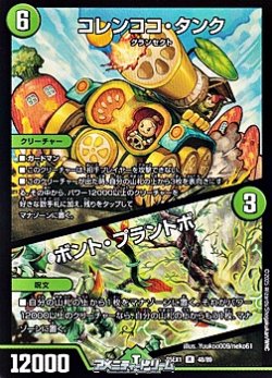 画像1: 【R】コレンココ・タンク／ボント・プラントボ