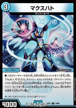 画像1: 【C】マクスハト