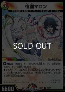 画像1: 【R】宿禰マロン