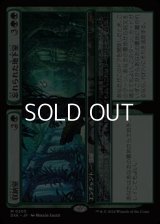 【日本語】収納室+忘れられた地下室/Walk-In Closet+Forgotten Cellar