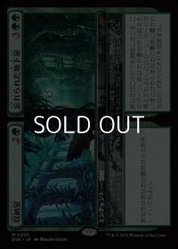 【日本語】収納室+忘れられた地下室/Walk-In Closet+Forgotten Cellar