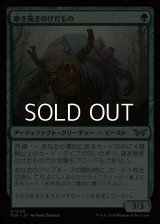 【日本語】継ぎ接ぎのけだもの/Patchwork Beastie