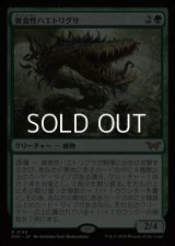 【日本語】雑食性ハエトリグサ/Omnivorous Flytrap