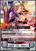 【HN】経験豊かな闇魔導士 シェイド