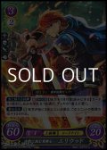 【R】決戦に挑む勇騎士 エリウッド
