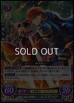 画像1: 【R】決戦に挑む勇騎士 エリウッド