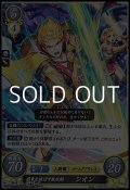 【HN】邪竜を滅ぼす無双剣 シオン