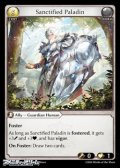 【EN】Sanctified Paladin