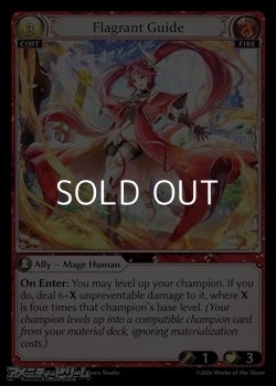 画像1: 【EN】Flagrant Guide