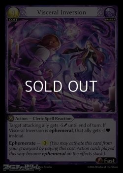 画像1: 【EN】Visceral Inversion