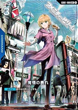 画像1: 【パラレル】覚悟の表れ