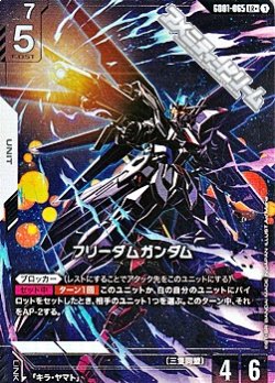画像1: 【パラレル】フリーダムガンダム
