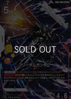 画像1: 【パラレル】フリーダムガンダム