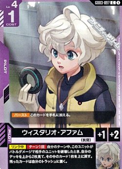 画像1: 【C】ウィスタリオ・アファム