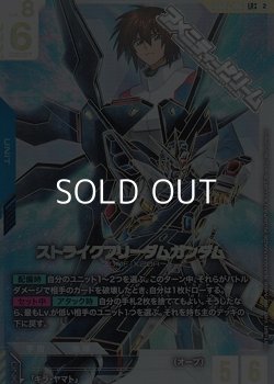 画像1: 【パラレル】【LR++】ストライクフリーダムガンダム