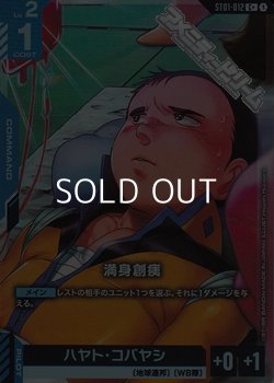画像1: 【パラレル】満身創痍