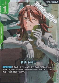 画像1: 【パラレル】戦術予報士