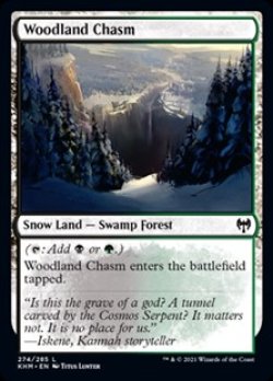 画像1: 【英語Foil】森林の地割れ/Woodland Chasm