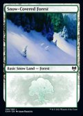 【英語Foil】冠雪の森/Snow-Covered Forest(No.284)