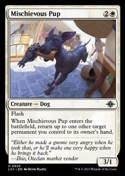 画像1: 【英語】悪戯好きの子犬/Mischievous Pup