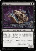 【日本語】頭蓋マイマイ/Skullcap Snail