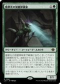 【日本語Foil】翡翠光の洞窟探検家/Jadelight Spelunker