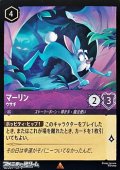 【レア】マーリン ウサギ