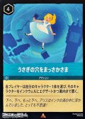 【レア】うさぎの穴をまっさかさま