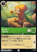 【アンコモン】バッキー リス語の先生