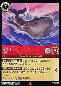 画像1: 【レア】マウイ クジラ
