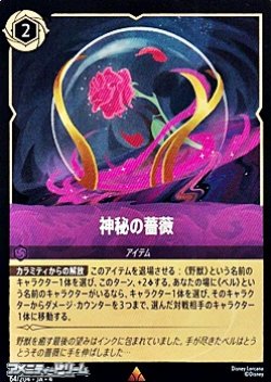 画像1: 【レア】神秘の薔薇