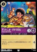 【アンコモンFoil】アントニオ・マドリガル どうぶつのともだち