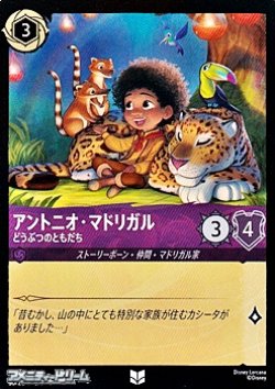 画像1: 【アンコモンFoil】アントニオ・マドリガル どうぶつのともだち
