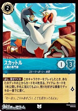 画像1: 【アンコモン】スカットル 人間の専門家