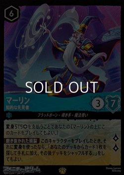 画像1: 【レジェンダリーFiol】マーリン 知的な先見者
