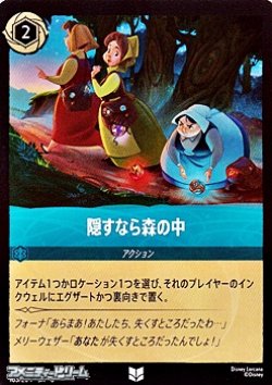 画像1: 【アンコモン】隠すなら森の中