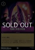 【コモン】知識と知恵の収集