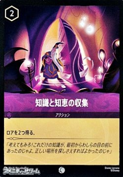 画像1: 【コモン】知識と知恵の収集