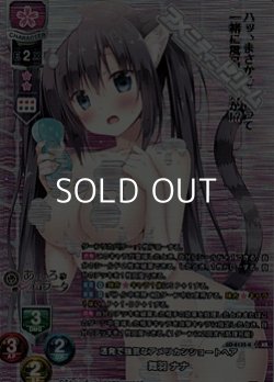 画像1: 【KR】活発で強気なアメリカンショートヘア 舞羽 ナナ